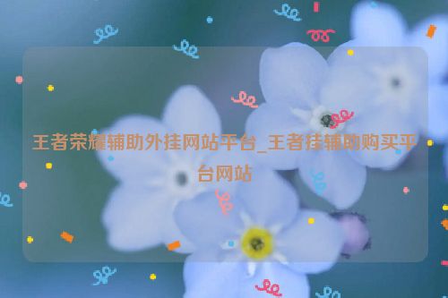 王者荣耀辅助外挂网站平台_王者挂辅助购买平台