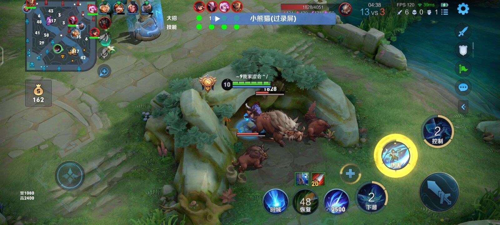 王者荣耀辅助《小熊猫》 直装 小熊猫 小熊猫辅助 小熊猫外挂 第2张