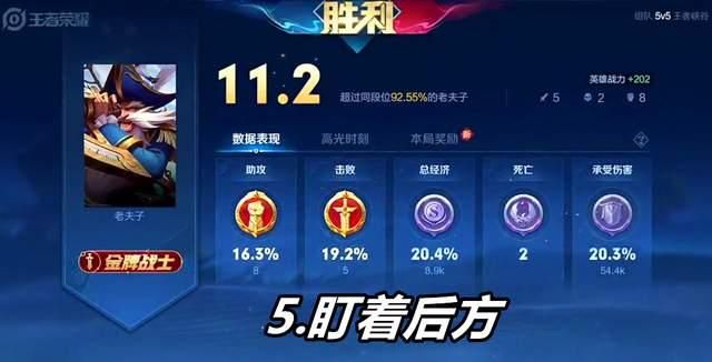 王者荣耀五种打法[稳上分] 王者荣耀辅助，王者荣耀IOS辅助，王者荣耀苹果手机辅助，王者荣耀外挂，王者荣耀科技 第5张