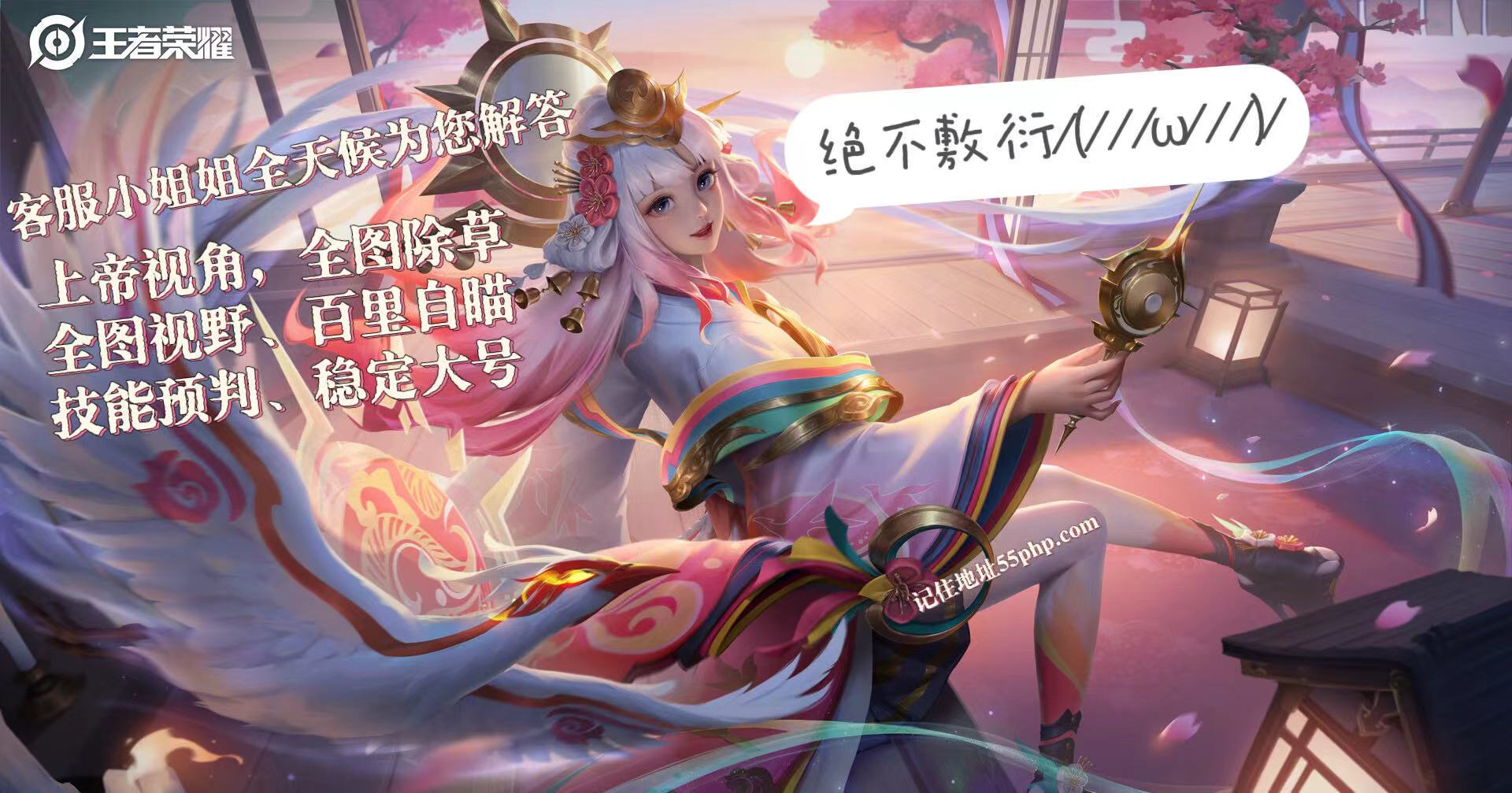 王者荣耀辅助一般都有哪些功能？(外挂该怎么使用？)