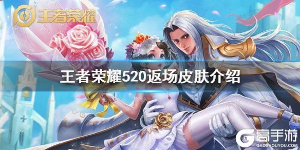 王者荣耀攻略_王者荣耀520返场皮肤有哪些 520返场皮肤投票结果是什么