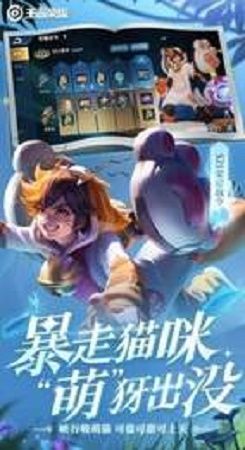 王者荣耀辅助神器_王者荣耀全图透视外挂黑科技  第2张