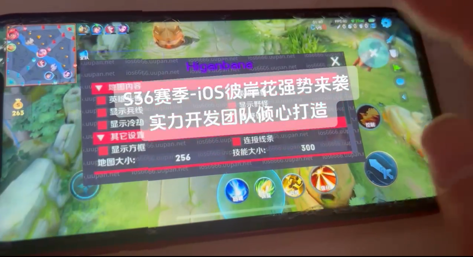 王者荣耀苹果ios辅助【彼岸花】实力稳定项目，无需配合端口，裸奔绘制写法，支持手机、ipad。